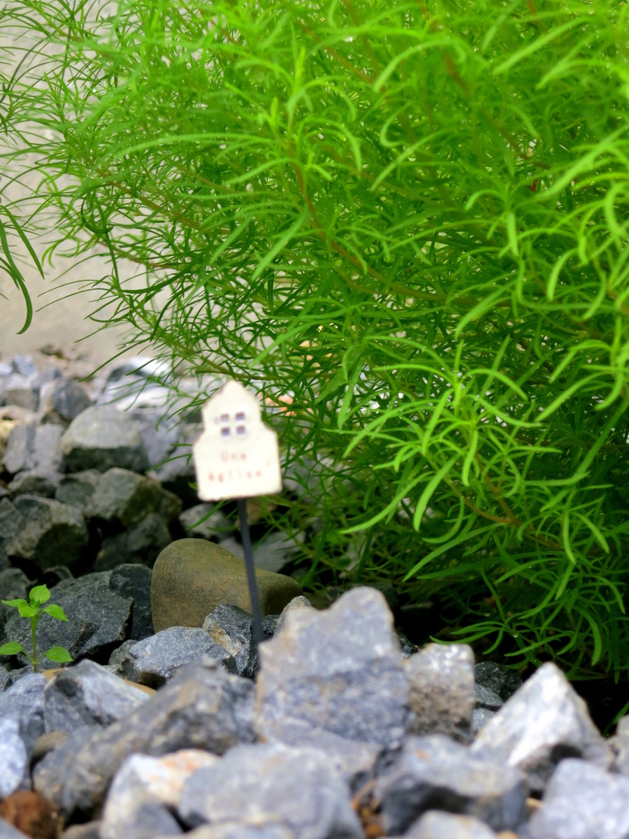 120728093548 120728093548