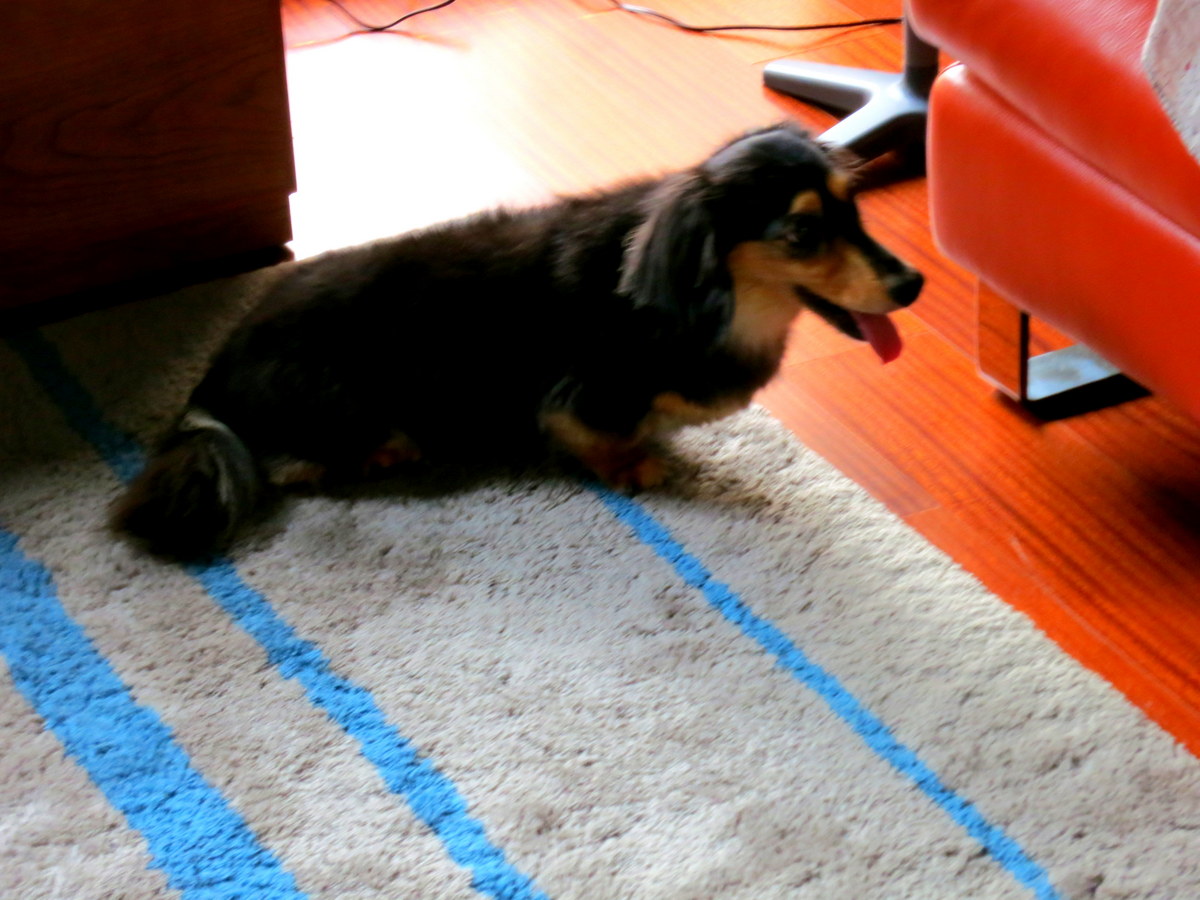 120728125512 120728125512