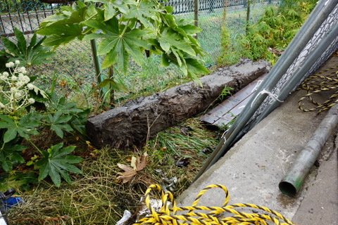 121112102919 121112102919