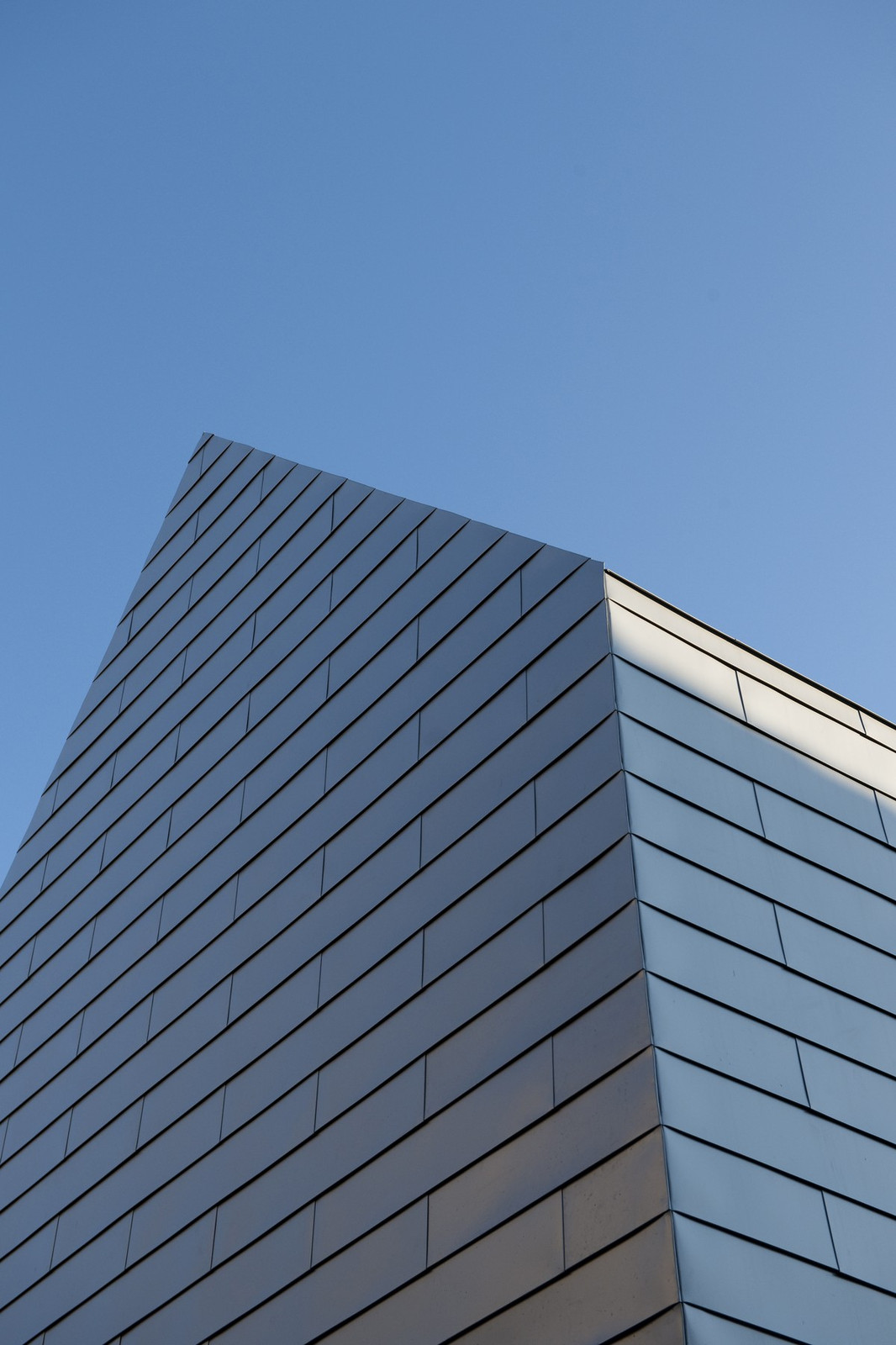 121119222110_dsc1630 121119222110_dsc1630