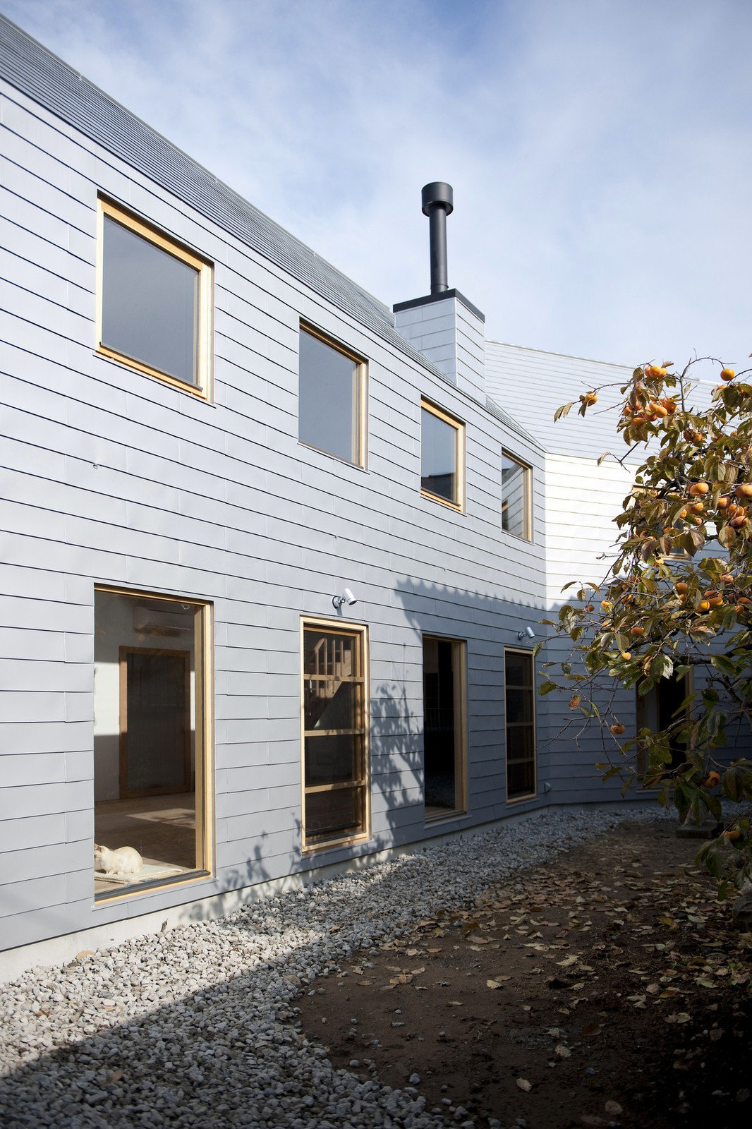 121124032029_dsc1912 121124032029_dsc1912