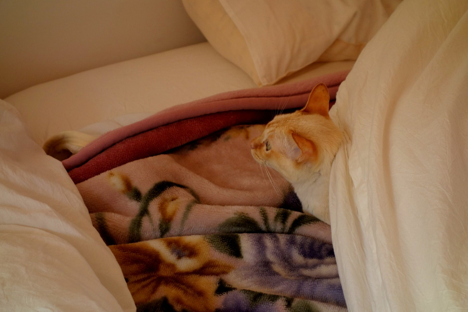 121124134738 121124134738