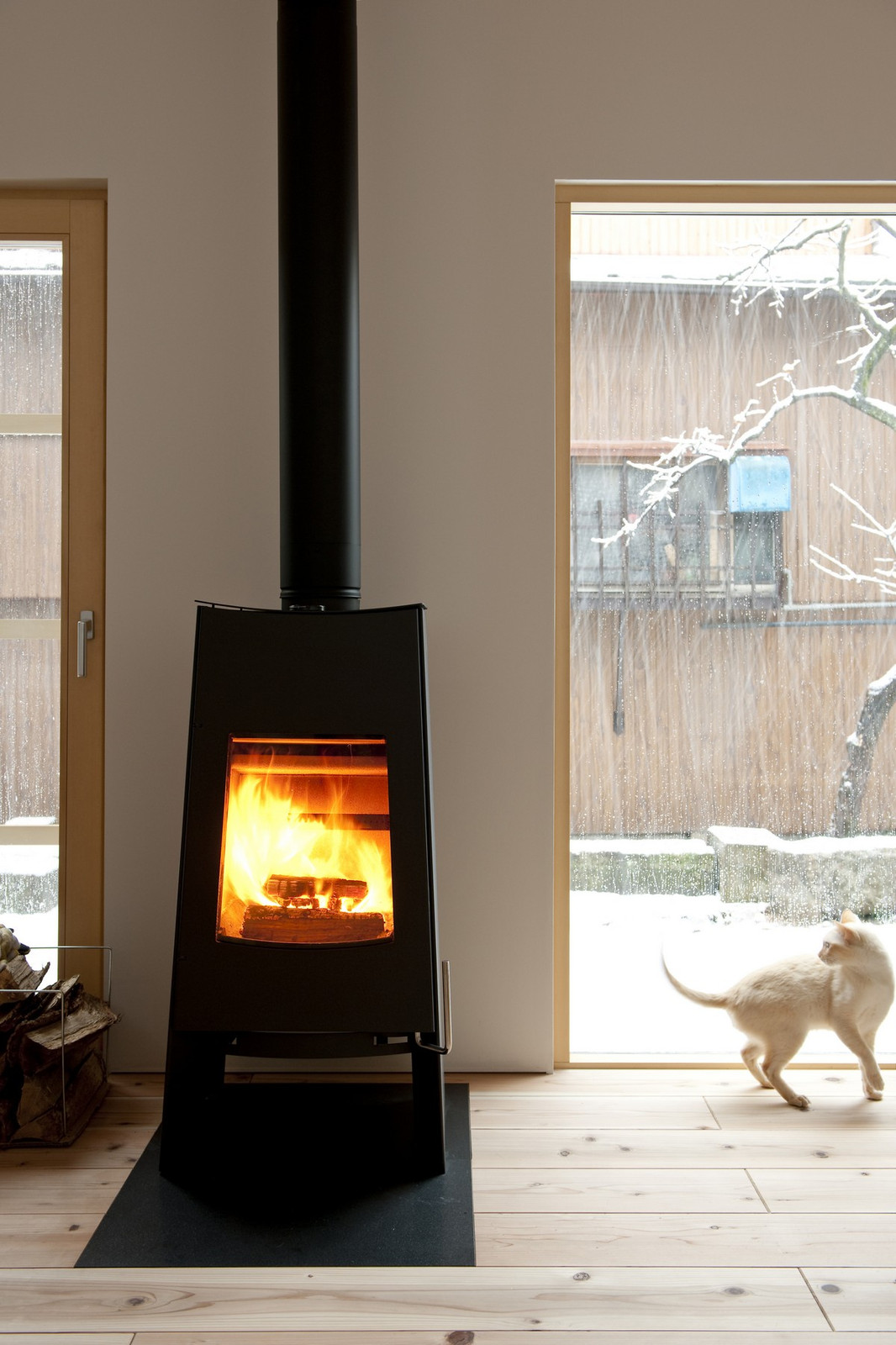 130114031356_dsc2025 130114031356_dsc2025