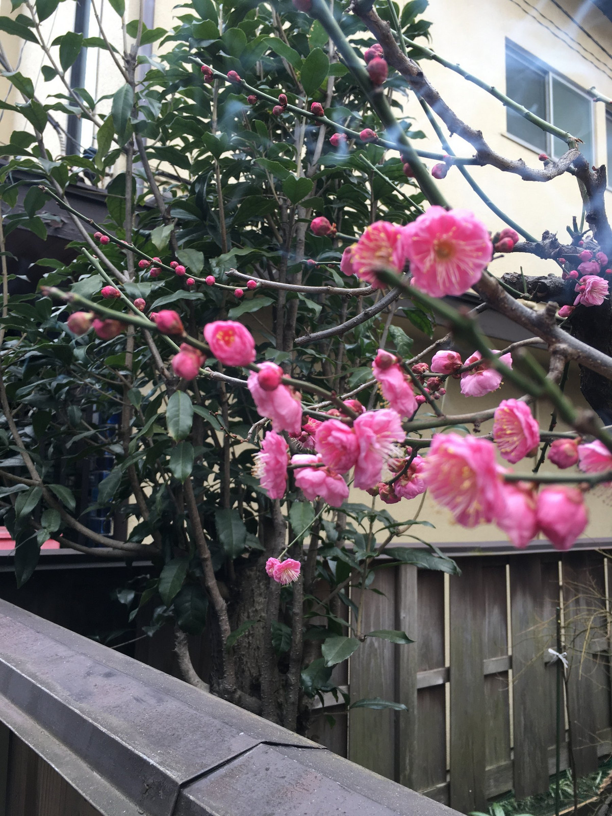 160201105227 160201105227