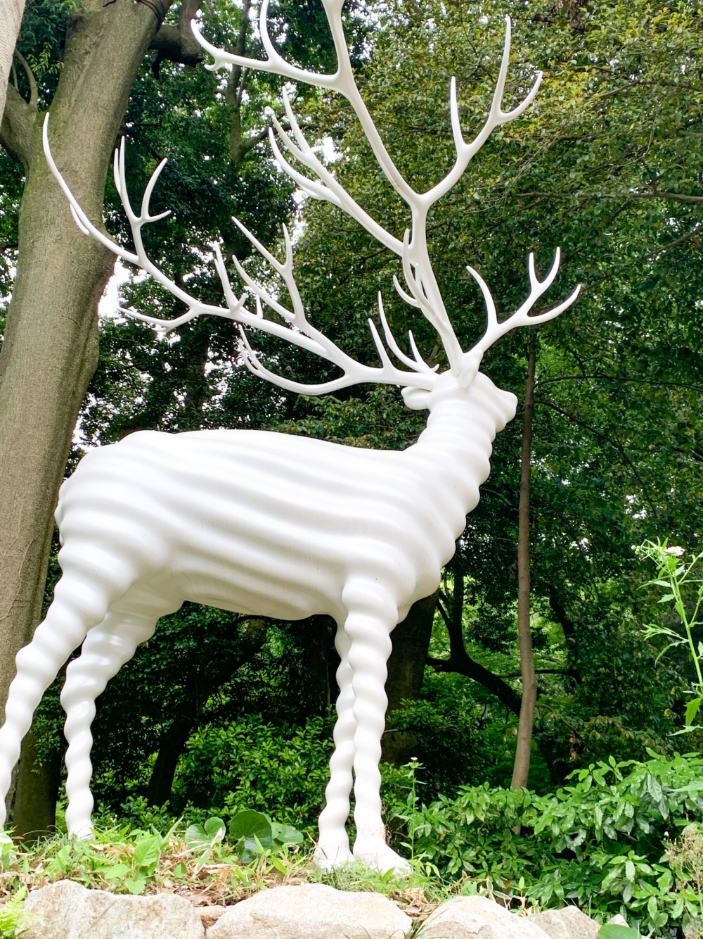 200531141503 200531141503