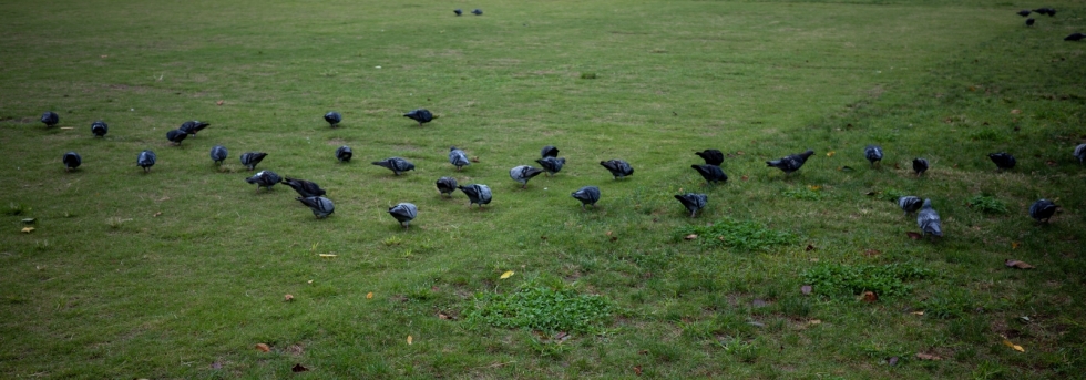 221007063444 221007063444