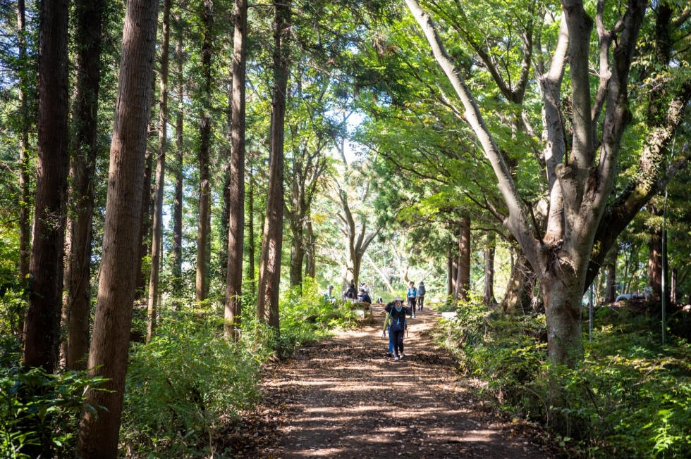 221029114506 221029114506