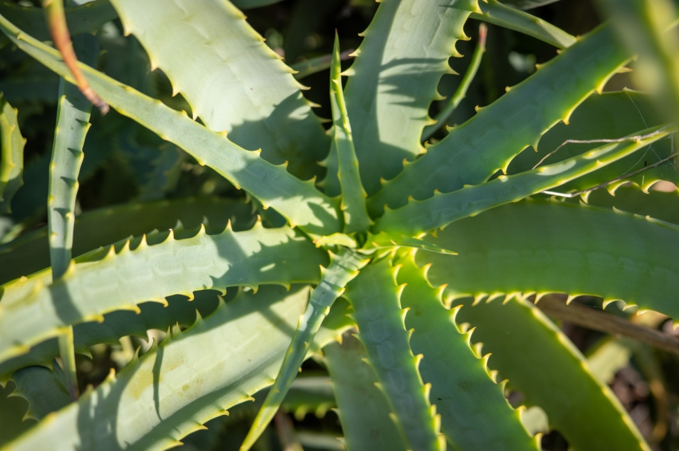 221030074057 221030074057