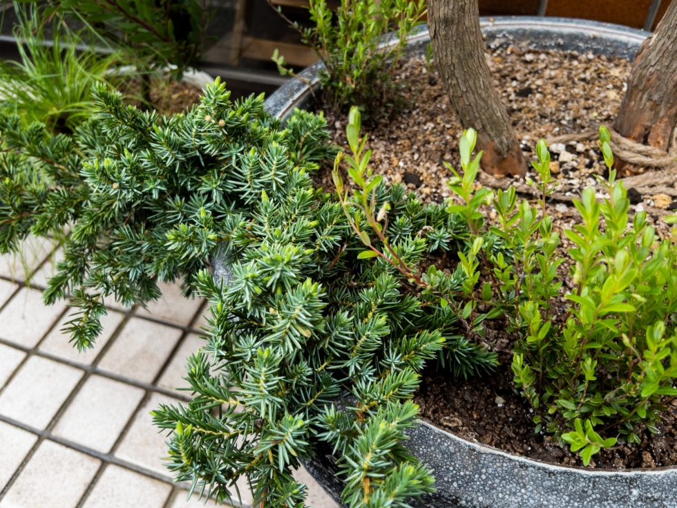 230406132138 230406132138