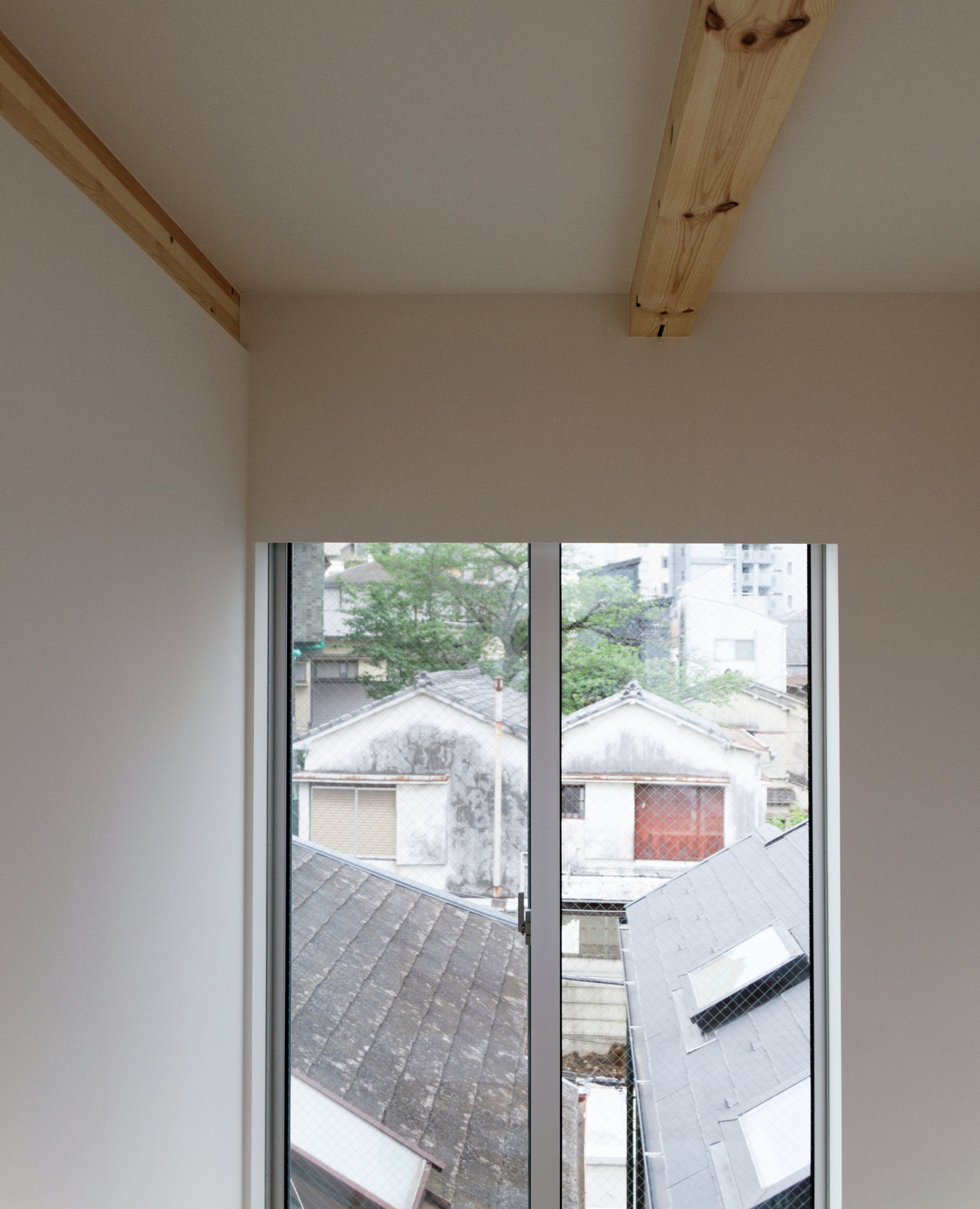 3001604221557462 3001604221557462