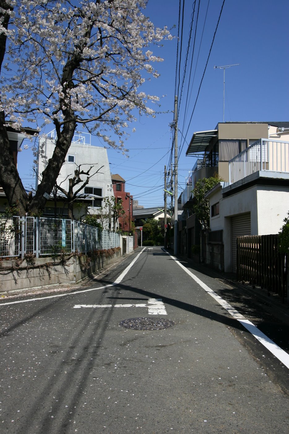 Sak070406004 Sak070406004